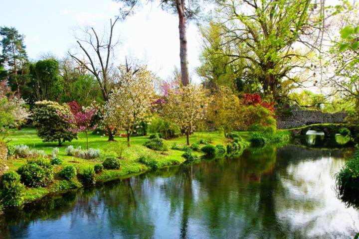 a body of water surrounded by trees