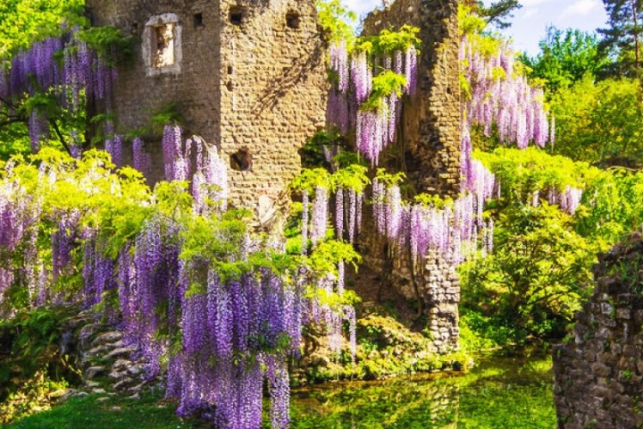 a castle on top of a lush green forest