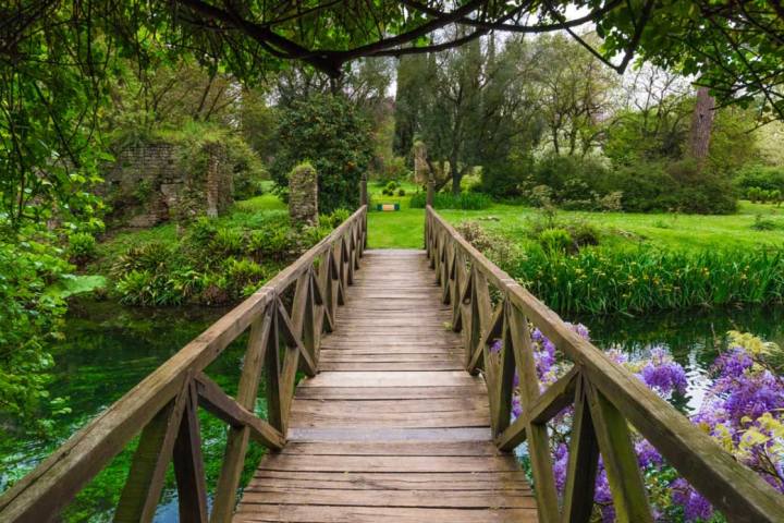 a wooden bench in a garden